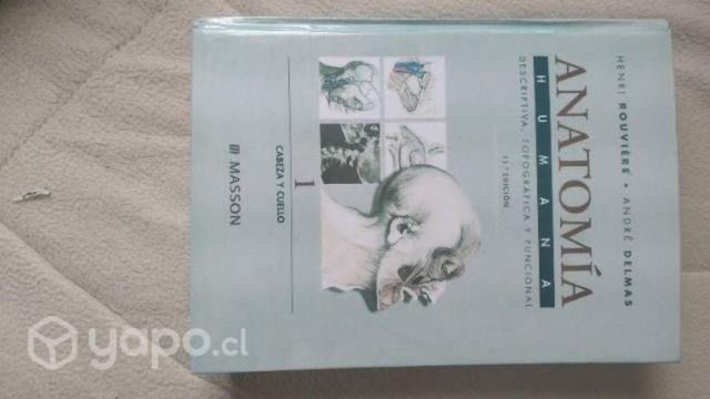 Libro Rouviére, cabeza y cuello