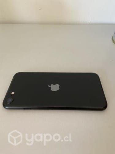 IPhone SE 2020 (usado buen estado)