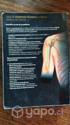 Atlas de anatomia netter cuarta edición