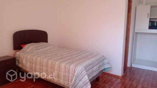 Piezas universitarios