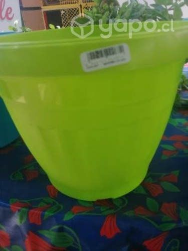 Macetero de Lujo #23