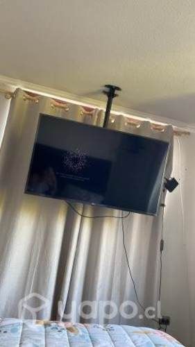 Soporte TV Techo hasta 50'