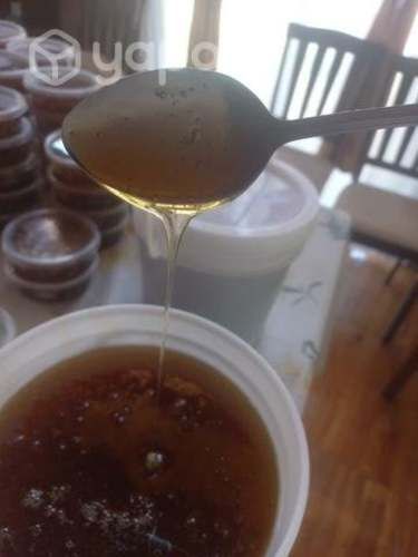 Miel de abejas 100% pura