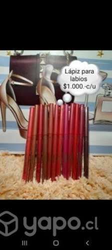 Lápiz para labios 12 tonos