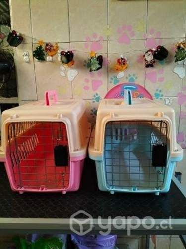 Caja de transporte gatos