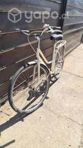 Bicicleta CIC Centenario de paseo