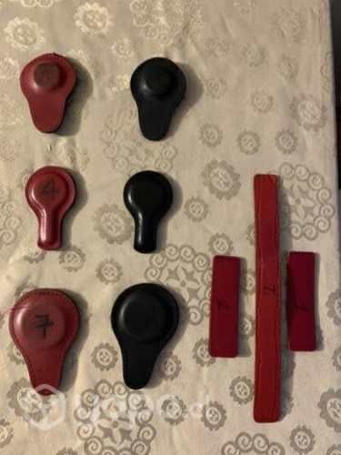 Imanes biomagnetisml