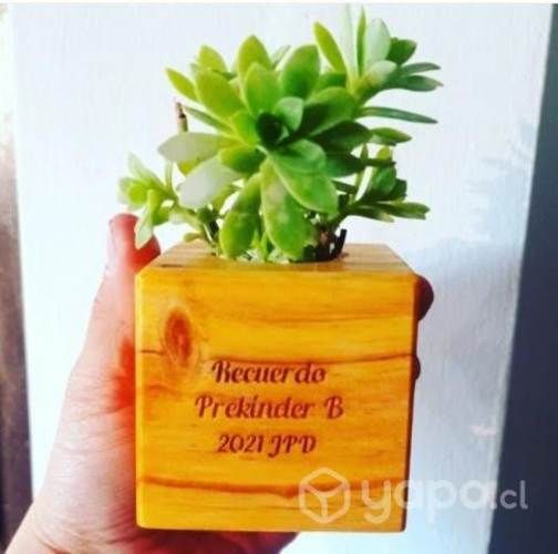 Maquina grabadora Láser CNC CO2