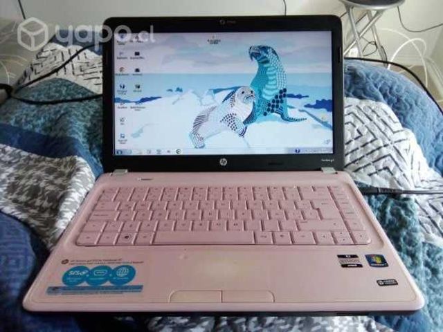 Notebook hp concepcion