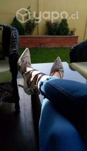 Zapato Amphora N°38