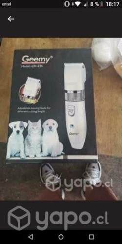 Cortadora de pelo canina