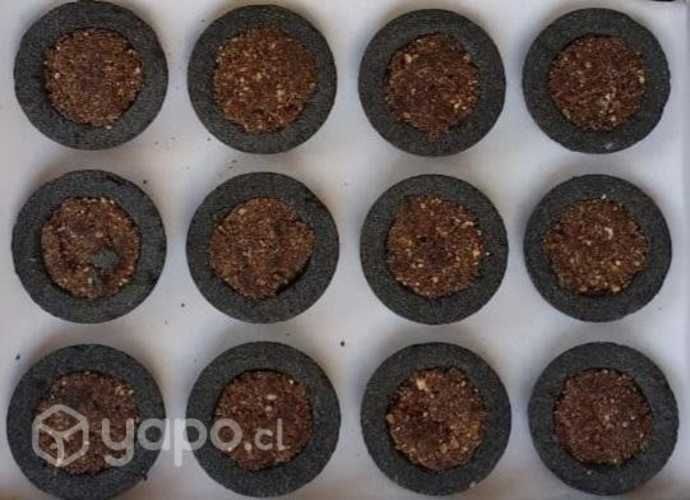 Resina natural sahumerio