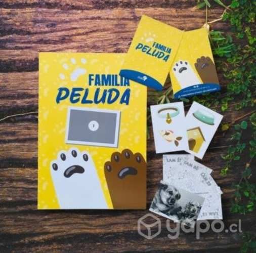 Álbum de láminas de tus vacaciones u otros motivos