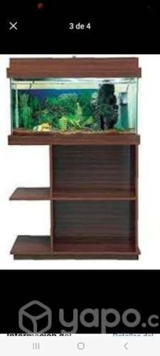 Acuario y rack