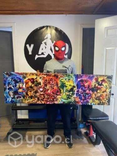 Cuadros en lienzo pvc