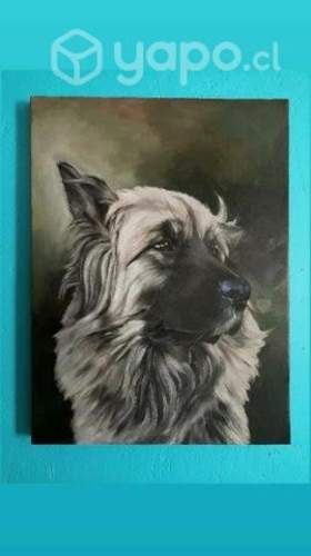 Cuadros de mascotas (pintura al óleo)