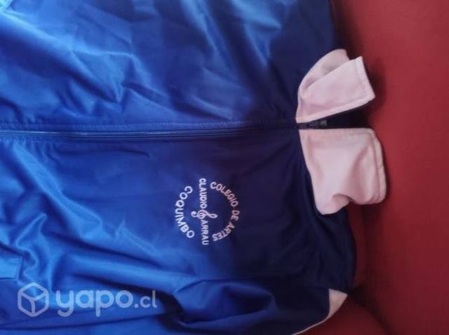 Buzo colegio Claudio Arrau