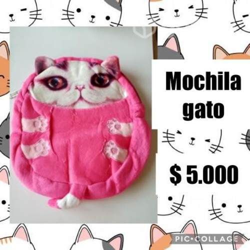 Mochila gato