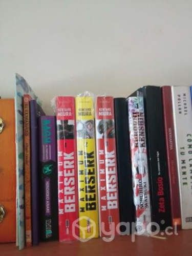 Berserk Maximum / Manga / Tomos 1 ; 2 ; 3