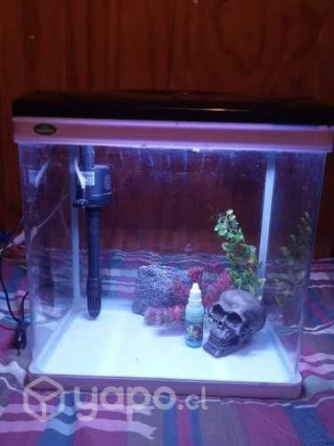 Acuario tapado