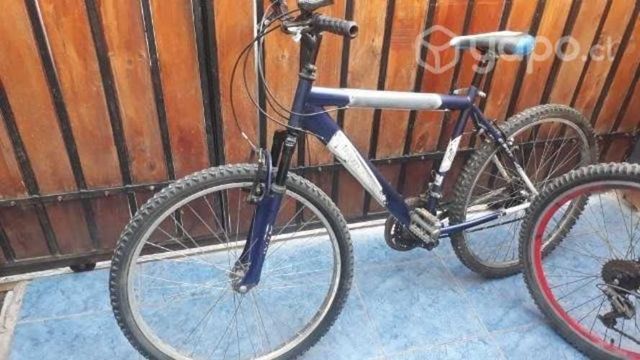 bicicletas