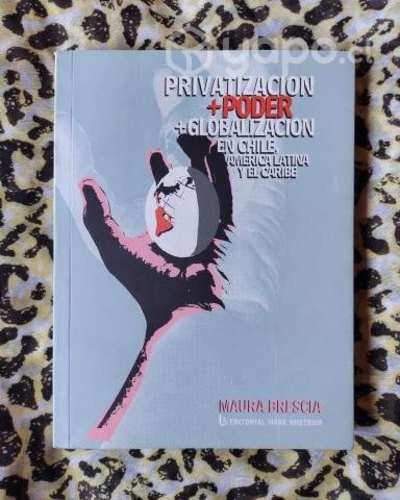 Privatización + poder + globalización en Chile...