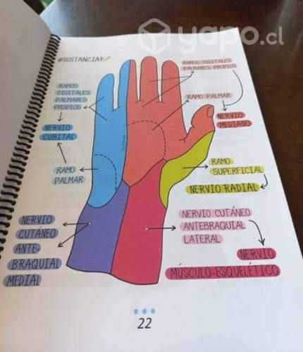 Libro de medicina en esquemas