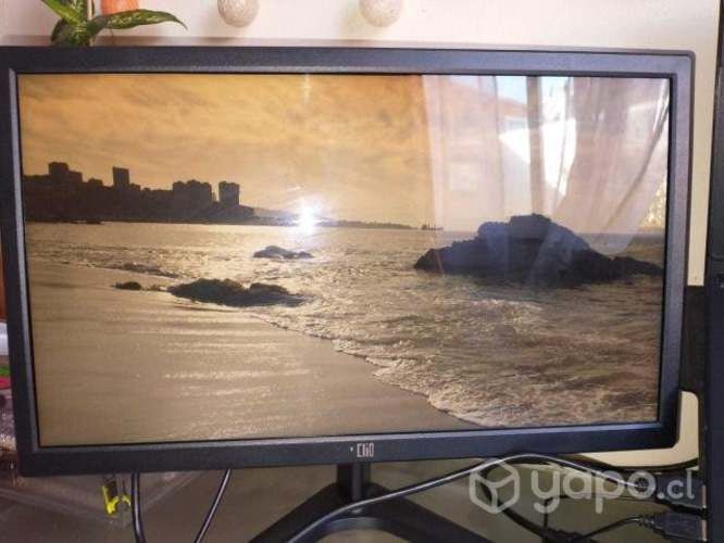 Monitor Pantalla 19"