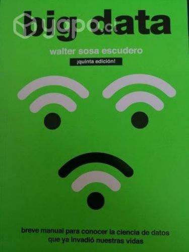 Libro Big Data