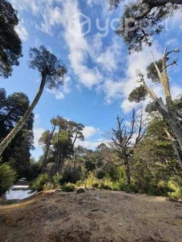 Parcela Sector cordillera Melipeuco