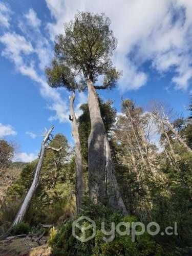 Parcela Sector cordillera Melipeuco