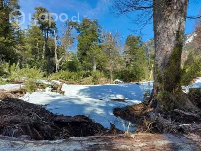 Parcela Sector cordillera Melipeuco