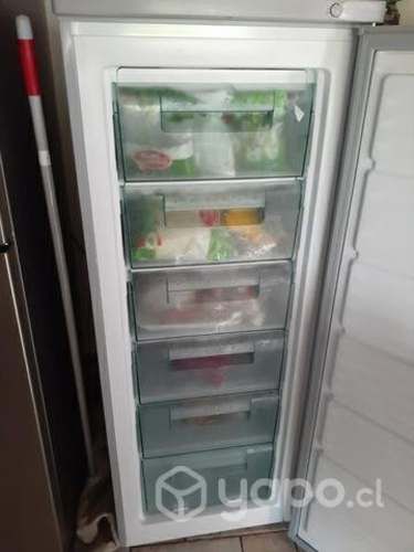 Refrigerador y Congeladora poco uso