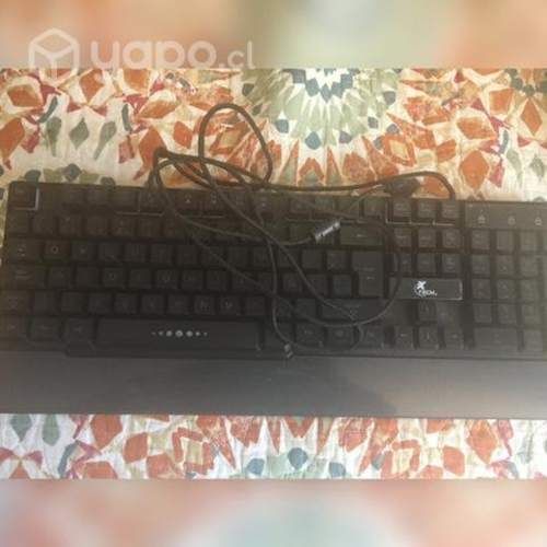 Teclado y mouse para computador