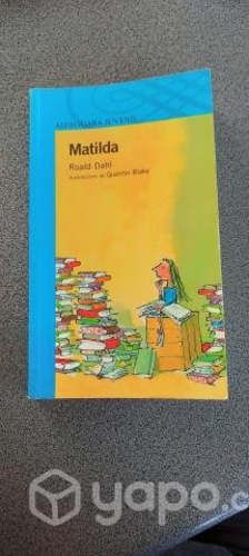 Libro Matilda - Roald Dahl en perfecto estado