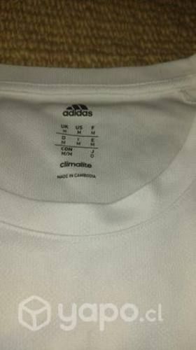 Poleras pectactas condiciones