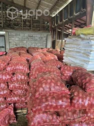 Semilla papas patagonia