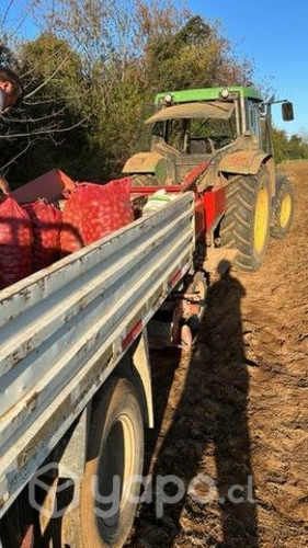 Semilla papas patagonia