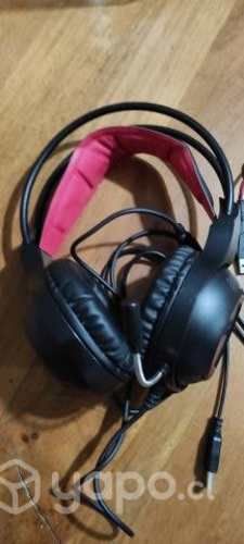 Audifonos y mouse Gamer