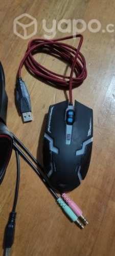 Audifonos y mouse Gamer