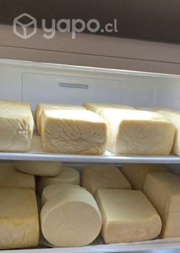 Salmón fresco y queso de campo