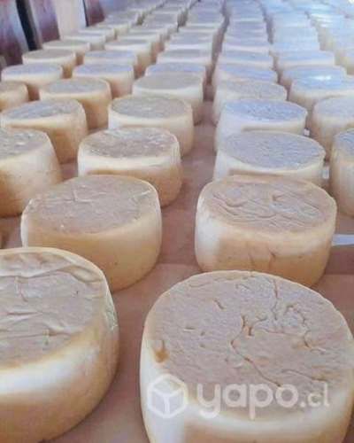 Salmón fresco y queso de campo