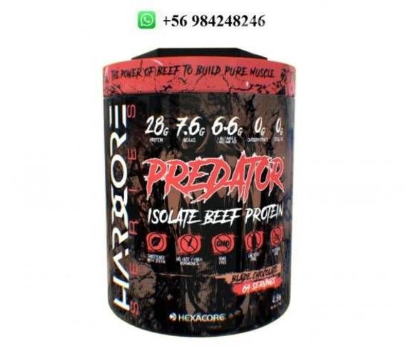 Predator beef_Isolatada
