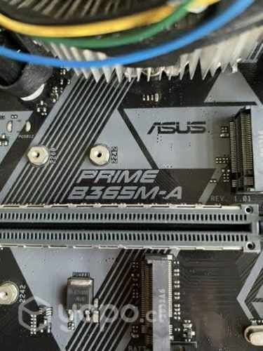 Pack i5 9400f + Placa Asus B365m-a