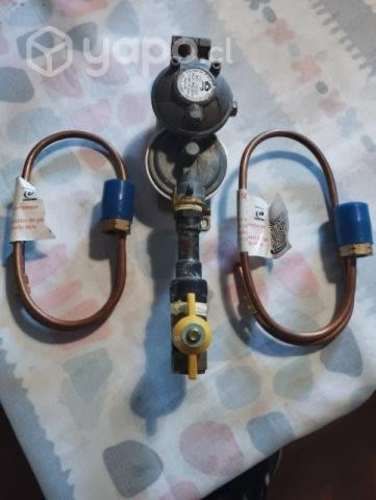 Regulador de gas