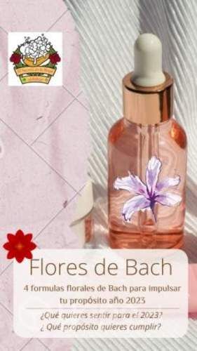 Flores de Bach