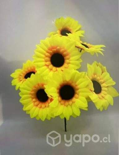 Hermosas flores amarillas