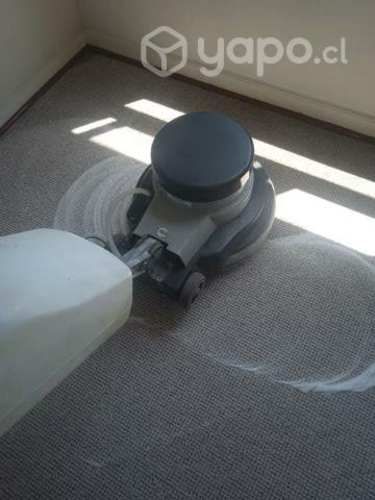 Limpieza de Alfombras y tspises