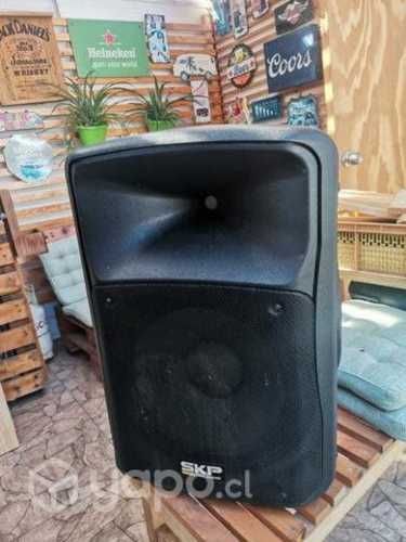 Parlante activo 15 pulgadas