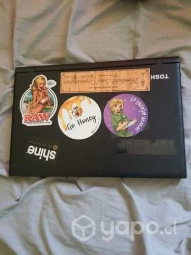 Toshiba satellite c55-c5206s